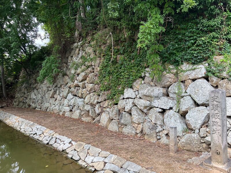 File:Himejimiddlemoat10.jpg