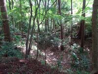 Horikiri between the shrines.JPG