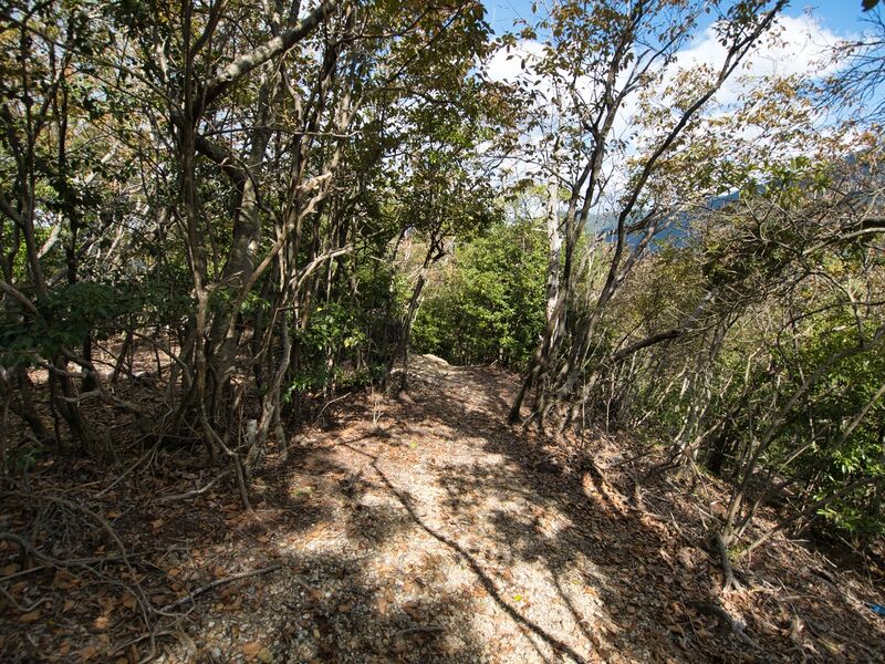 File:Matsugasakikyoto7.jpg