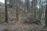 Minagawa25.jpg