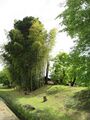 Thumbnail for version as of 07:25, 5 July 2022