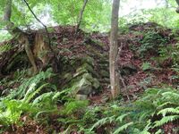 HidaTakayama (14).JPG