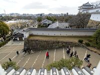 Himejihishi7.jpg