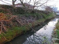 HizenKashimajou (80).JPG