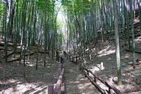 Kozukue6.jpg