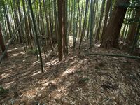 Mochizukishikoka18.jpg