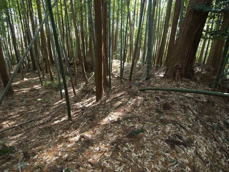 File:Mochizukishikoka18.jpg