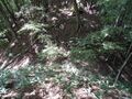 Thumbnail for version as of 16:25, 26 May 2024