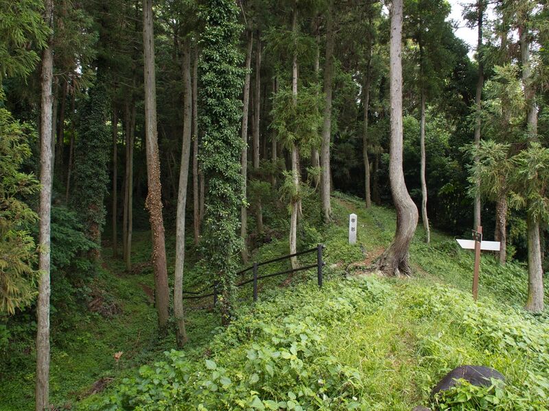 File:Shiroi13.jpg