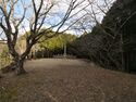 Tonoyamakoka3.jpg