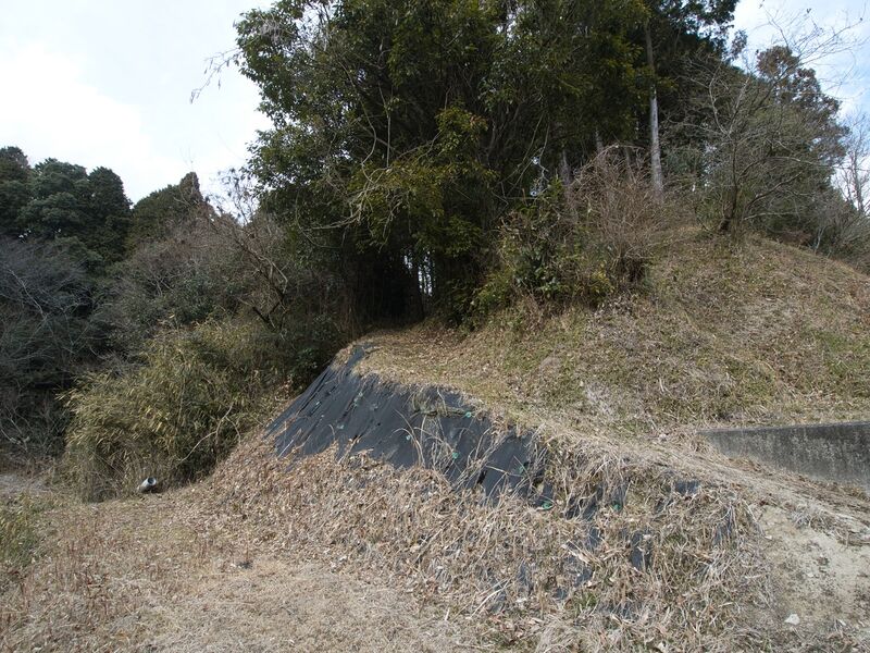 File:Wadashi3koka3.jpg