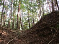 ChikumaYamazakiToride (4).JPG