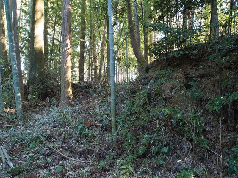 File:Hattori14.jpg