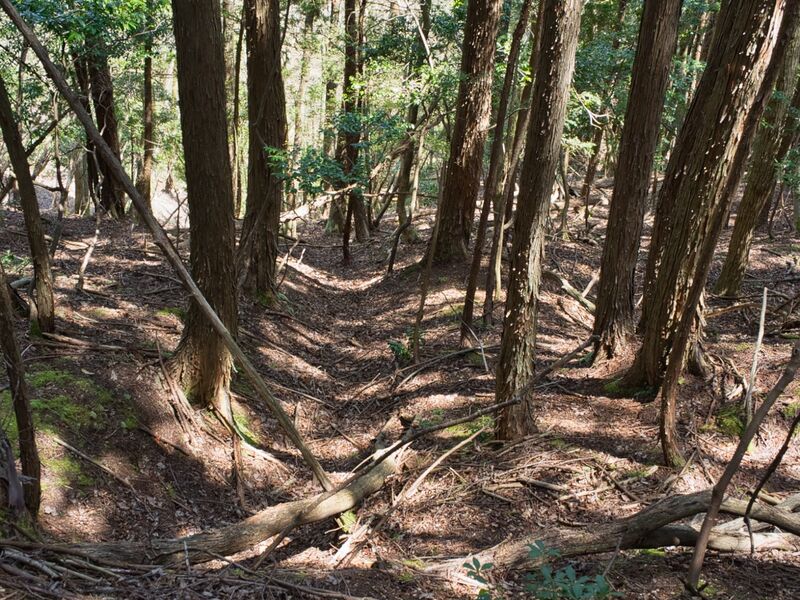 File:Hekitani43.jpg