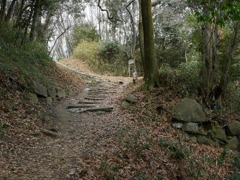 File:Iimori2.jpg