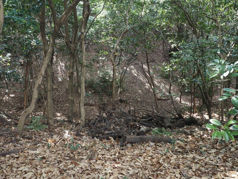 File:Odaka20.jpg
