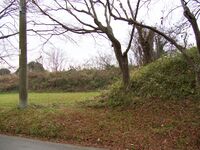 Sasayama65.jpg