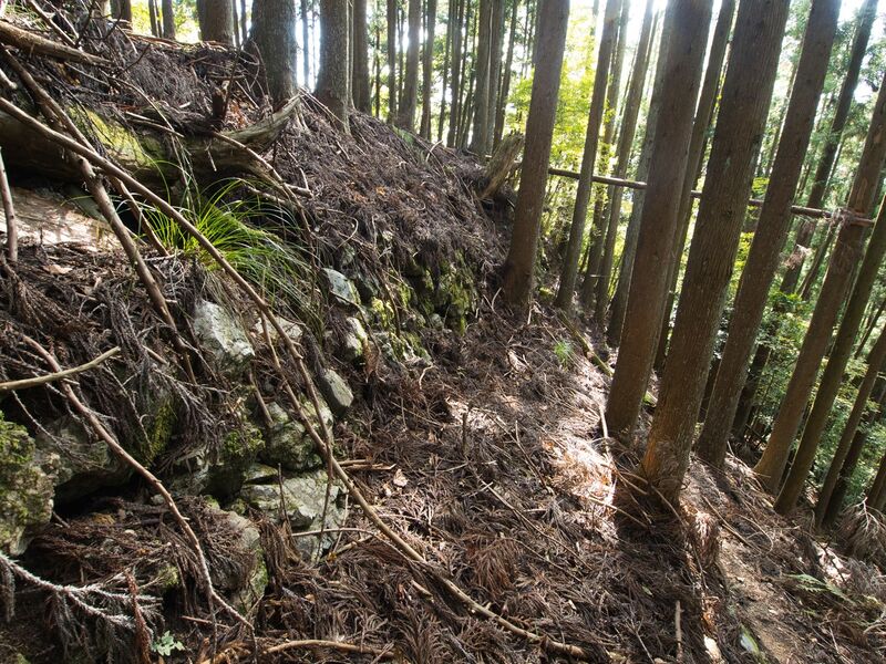 File:Shuzan51.jpg
