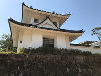 Sonobe9.jpg