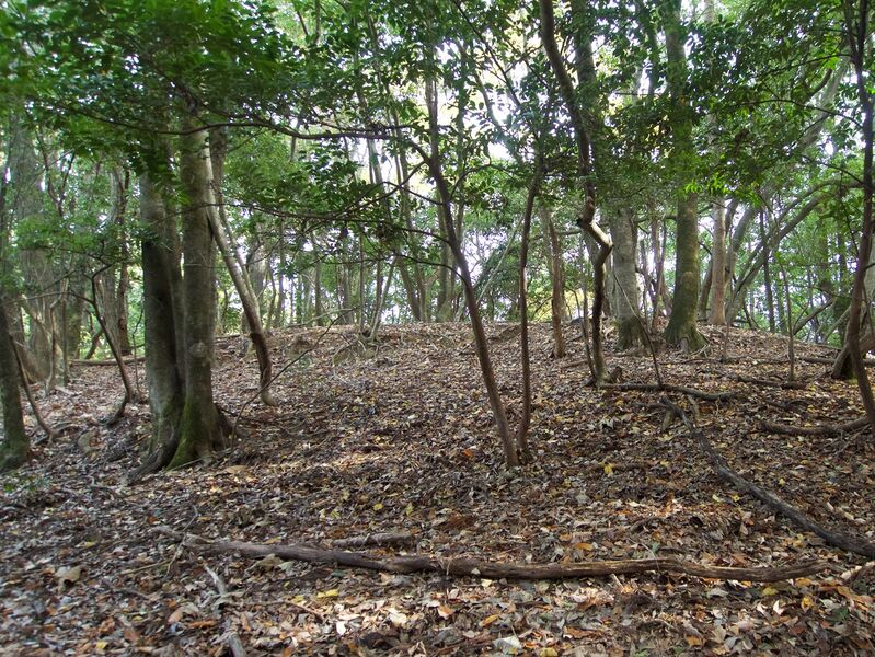 File:TenjinyamaHiroshima7.jpg