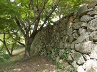 Tsuyama71.jpg
