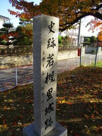 Wakatsukisatojou (8).jpg