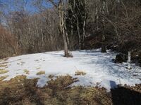 AidaKaratoriyajou (16).JPG