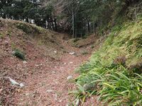 Futamata34.jpg
