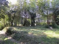 Hadanashijou (1).JPG
