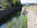 Igawajou (5).JPG