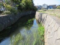 Igawajou (5).JPG