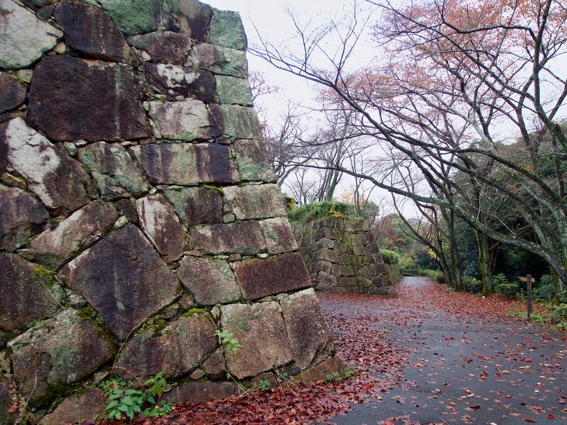 File:Kamei12.jpg