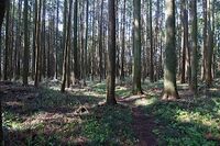 Karasuyama15.jpg