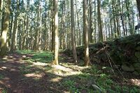 Karasuyama20.jpg