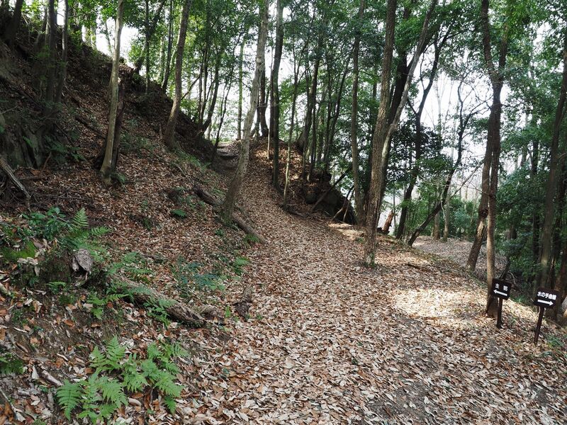 File:Ogyu21.jpg