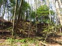 AzumiNishimakijou (36).JPG