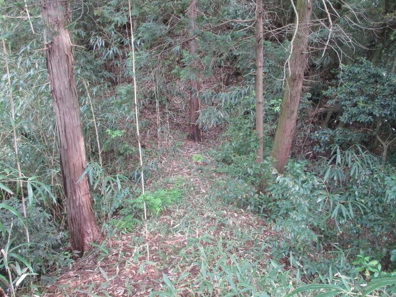 File:Binmanjijou (9).jpg