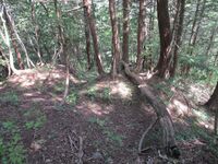 Futsukamachijou (4).jpg