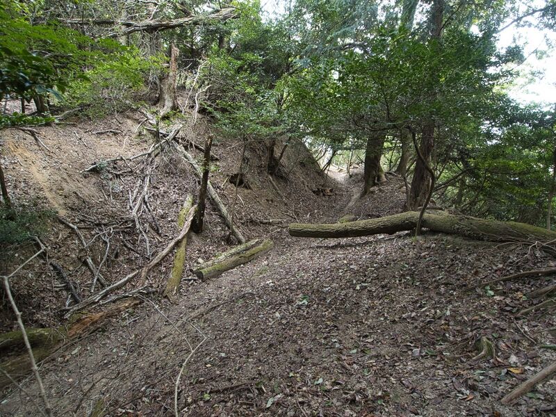 File:Ichijojiyama21.jpg