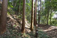 Isobe2.jpg