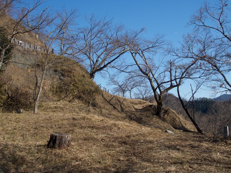 File:Katsuyamatsuru10.jpg