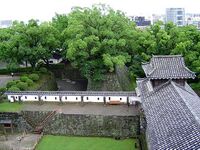 Kumamoto8.jpg