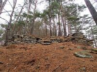 Matsuoko5.jpg