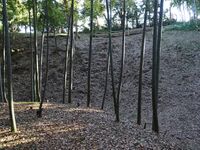 Odawara sogamae19.jpg