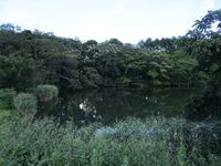 SuwaFuseyachoujaYakata (1).JPG
