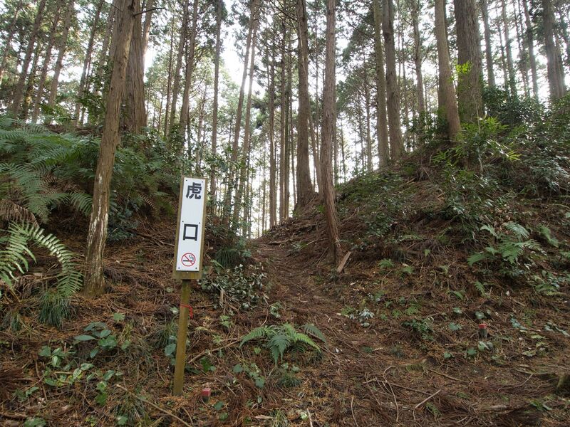 File:Wadakoka8.jpg