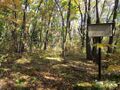 Thumbnail for version as of 22:24, 30 April 2024