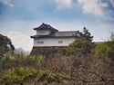 Hikone7.jpg