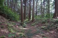 Katsunuma10.jpg