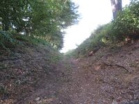 KitaKumai (67).JPG